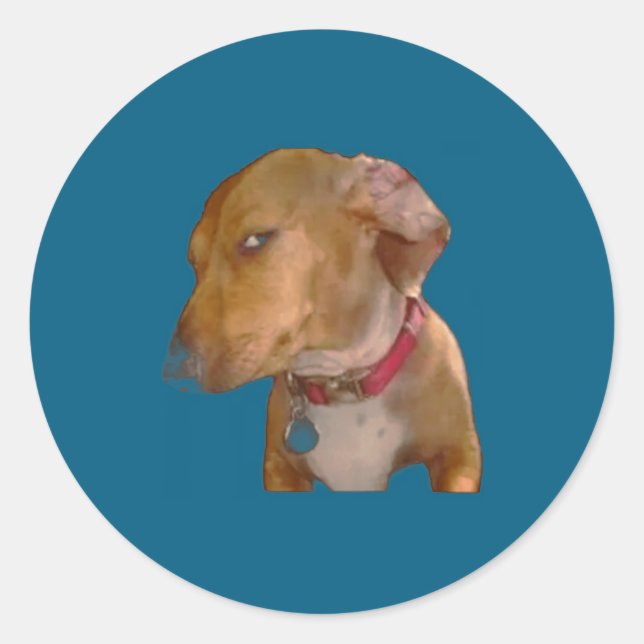 Bombastic Side Eye Funny Dog  Classic Round Sticker (Front)