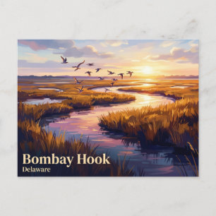 Bombay Hook National Wildlife Refuge USA Postcard