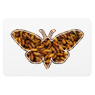 Bombyx Mori Silk Moth Life Cycle Silhouette Magnet