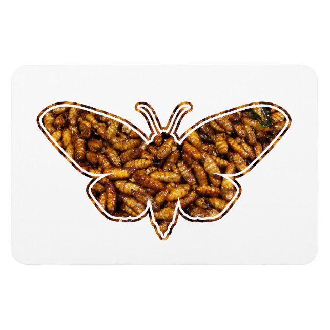 Bombyx Mori Silk Moth Life Cycle Silhouette Magnet (Horizontal)