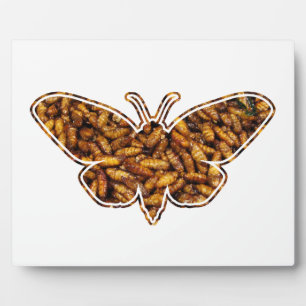 Bombyx Mori Silk Moth Life Cycle Silhouette Plaque