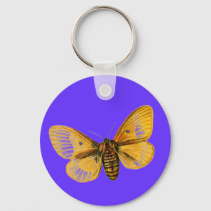 Bombyx quercus female key ring
