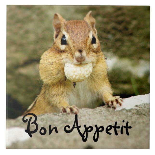 Bon Appetit Chipmunk Trivet (Front)