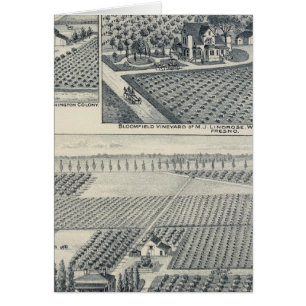 Bonacourt Ranch, Washington Colony, California