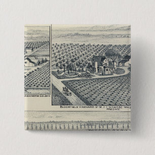 Bonacourt Ranch, Washington Colony, California 15 Cm Square Badge