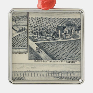 Bonacourt Ranch, Washington Colony, California Metal Ornament