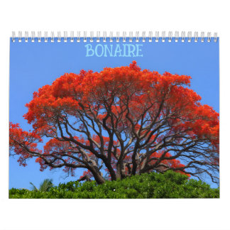 Bonaire bon bini calendar