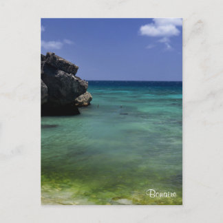 Bonaire Ocean Postcard