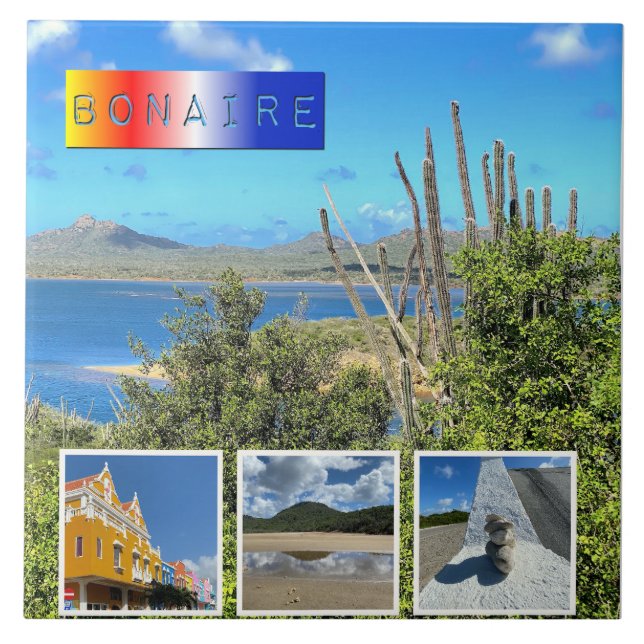 Bonaire Photo Collage  Ceramic Tile (Front)