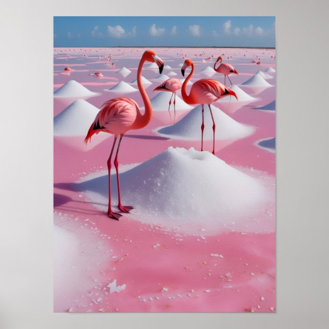 bonaire pink poster (Front)