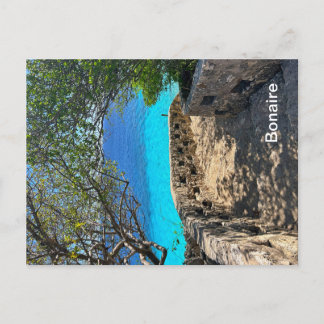 Bonaire Postcard