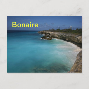 Bonaire postcard