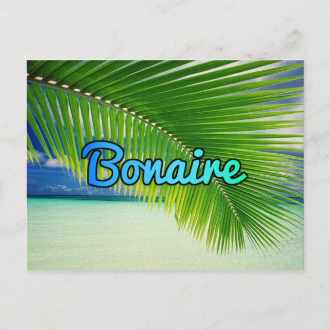 Bonaire Postcard (Front)