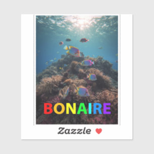 Bonaire reef fish