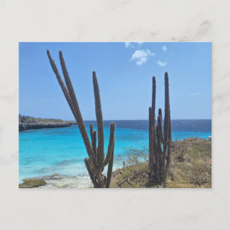 Bonaire Sea View Postcard