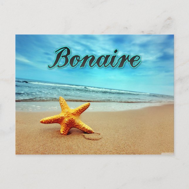 Bonaire starfish postcard (Front)