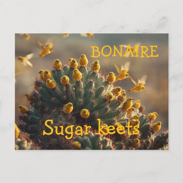Bonaire sugarkeets postcard (Front)