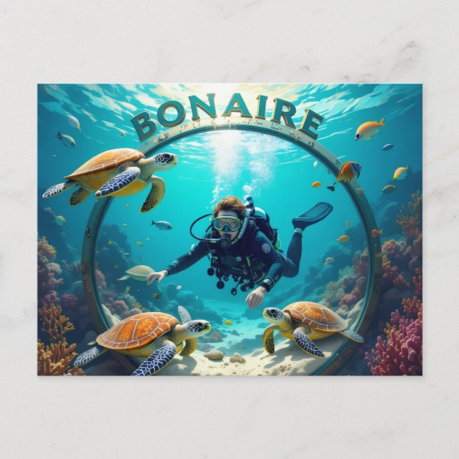 bonaire vacation Postcard (Front)