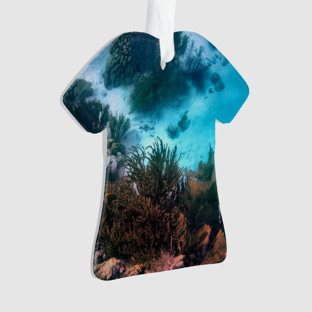 Bonairean Reef Ornament (Front)