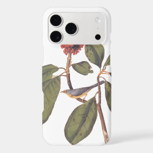 Bonaparte Flycatcher Canada Warbler Audubon Bird