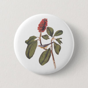 Bonaparte Flycatcher Canada Warbler Audubon Bird 6 Cm Round Badge