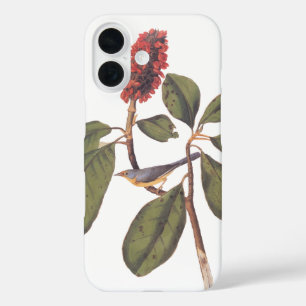 Bonaparte Flycatcher Canada Warbler Audubon Bird iPhone 16 Case