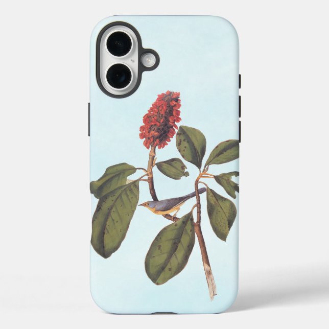 Bonaparte Flycatcher Canada Warbler Audubon Bird Case-Mate iPhone Case (Back)