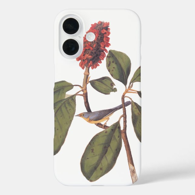 Bonaparte Flycatcher Canada Warbler Audubon Bird Case-Mate iPhone Case (Back)