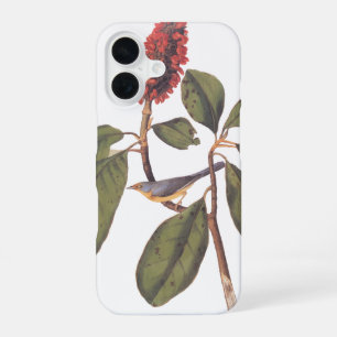 Bonaparte Flycatcher Canada Warbler Audubon Bird iPhone 16 Case