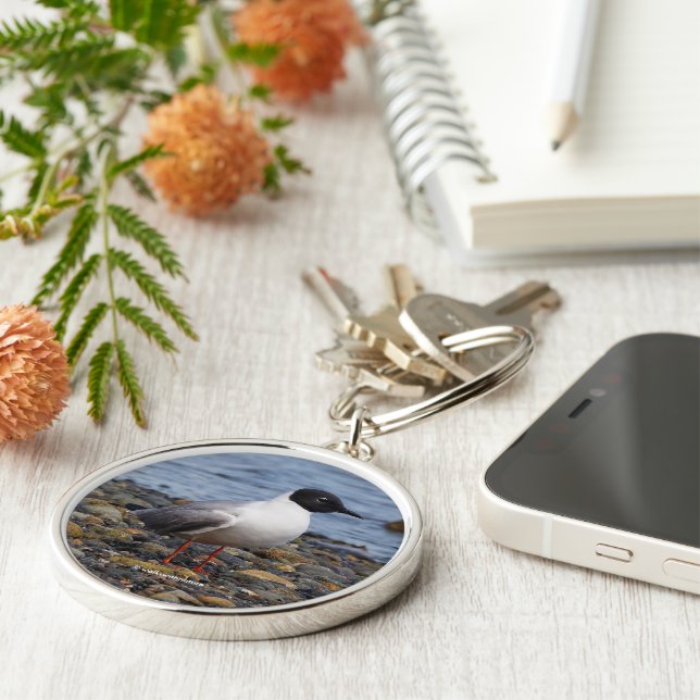 Bonaparte's Gull at the Beach Key Ring (Side)