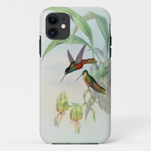 Bonaparte's Star Fronted Hummingbird (coloured lit iPhone 11 Case