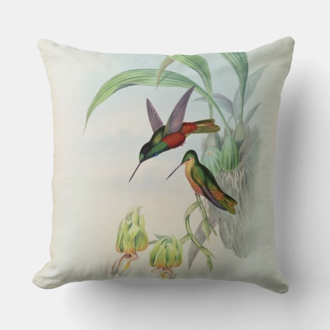 Bonaparte's Star Fronted Hummingbird (coloured lit Cushion (Front)