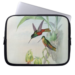 Bonaparte's Star Fronted Hummingbird (coloured lit Laptop Sleeve