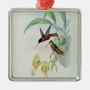 Bonaparte's Star Fronted Hummingbird (coloured lit Metal Tree Decoration