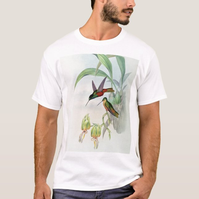 Bonaparte's Star Fronted Hummingbird (coloured lit T-Shirt (Front)