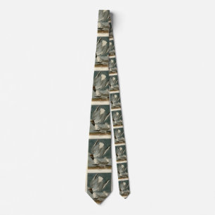 Bonapartian Gull from Audubon's Birds of America Tie