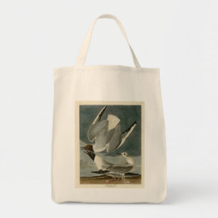 Bonapartian Gull from Audubon's Birds of America Tote Bag
