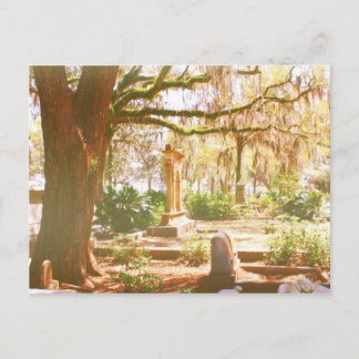 Bonaventure Cemetery Postcard