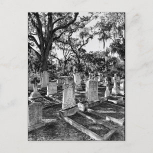 Bonaventure Cemetery, Savannah GA Postcard