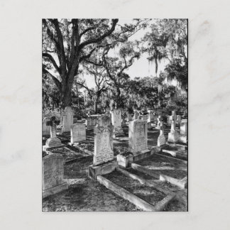 Bonaventure Cemetery, Savannah GA Postcard