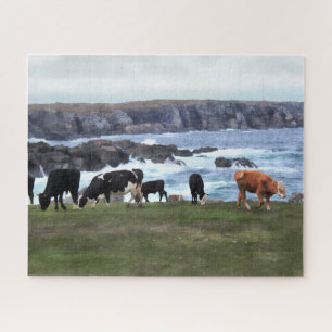 Bonavista Newfoundland Cattle Jigsaw Puzzle