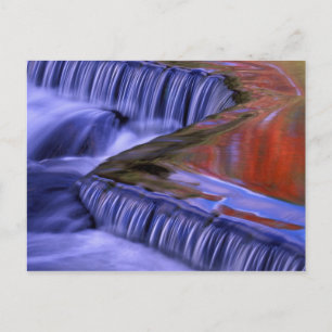 Bond Falls; Reflecting Fall Colored Leaves; Postcard
