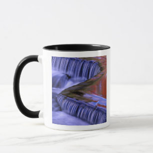 Bond Falls; Reflecting Fall Coloured Leaves; Mug