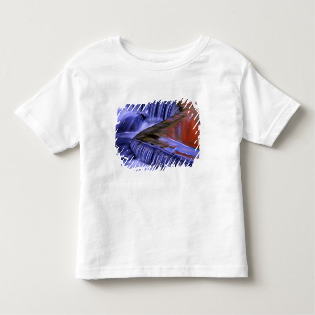 Bond Falls; Reflecting Fall Coloured Leaves; Toddler T-Shirt (Front)