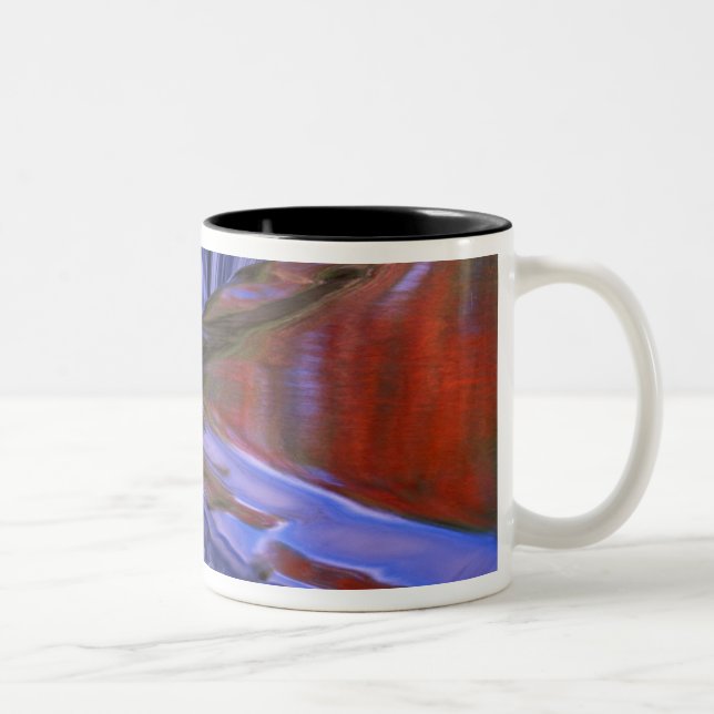 Bond Falls; Reflecting Fall Coloured Leaves; Two-Tone Coffee Mug (Right)