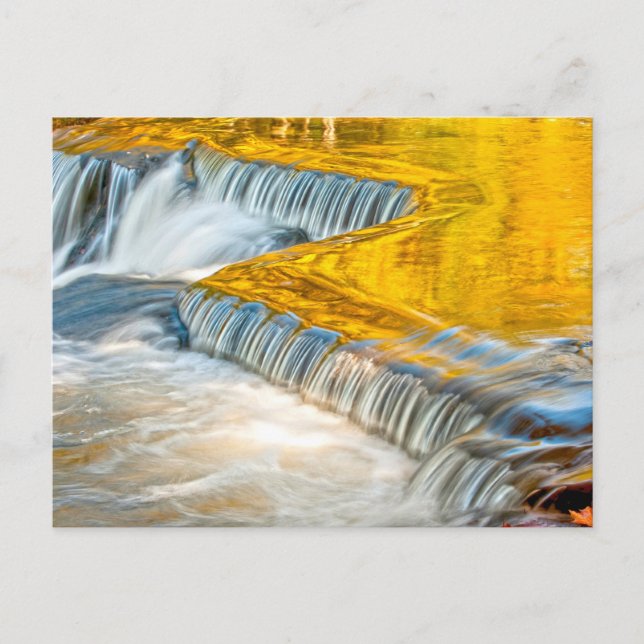 Bond Falls Reflecting Fall Colours Postcard (Front)