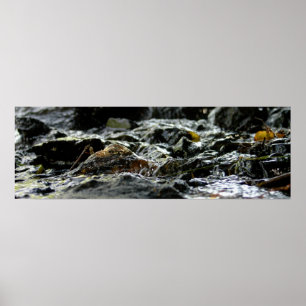 Bond Falls - Upper Peninsula Poster