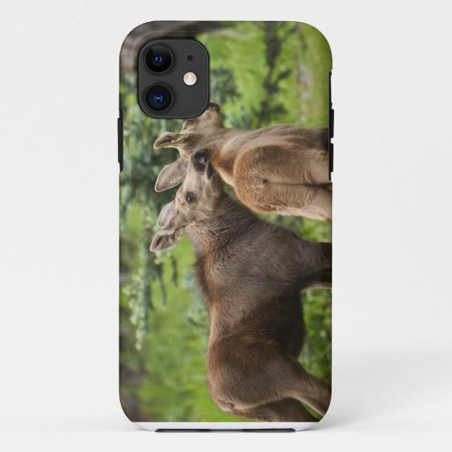 Bonded Moose Calves Case-Mate iPhone Case (Back)
