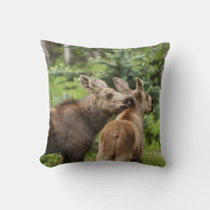 Bonded Moose Calves Cushion
