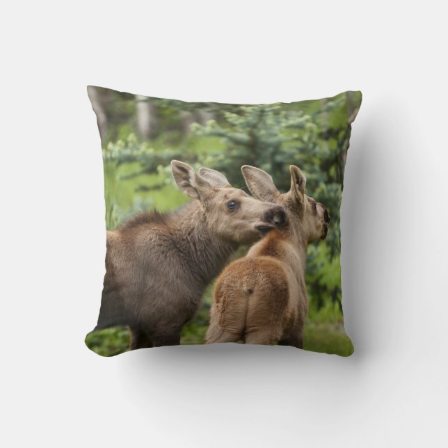 Bonded Moose Calves Cushion (Front)